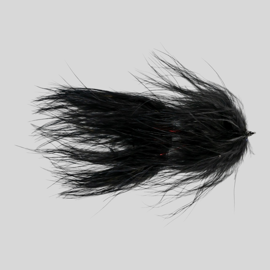 Galloup's TA leech