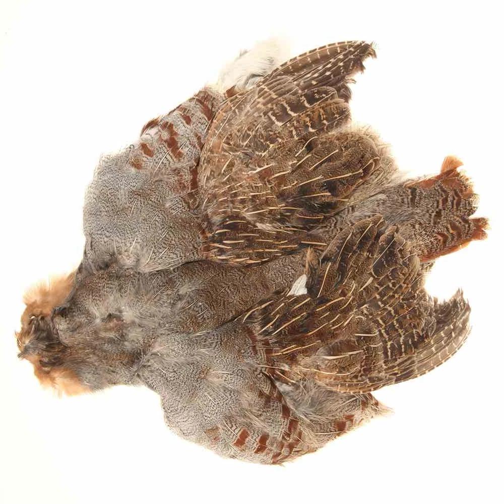 SHOR - ENGLISH PARTRIDGE SKIN