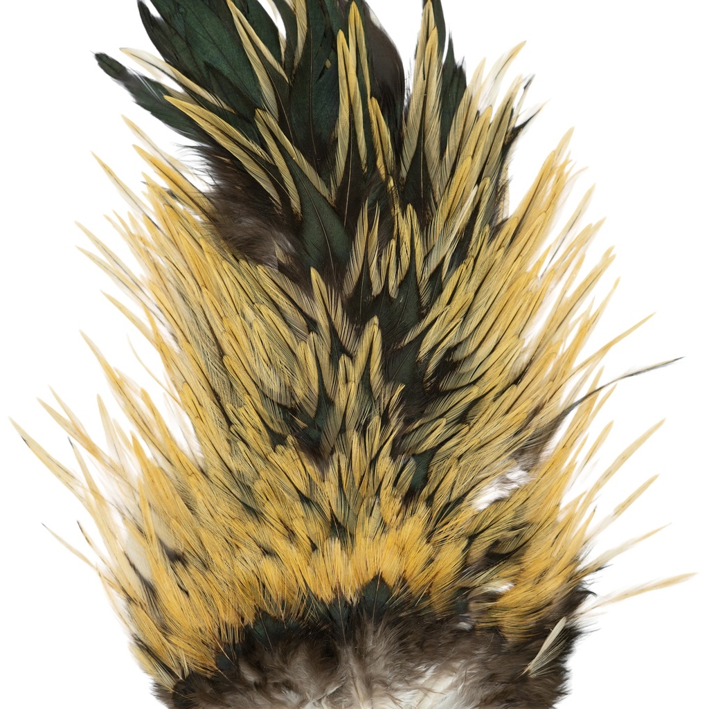 SHOR - SELLE DE COQ