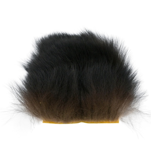SHOR - BLACK BEAR PATCH