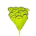 SHOR - LADY AMHERST TIPPET FEATHERS