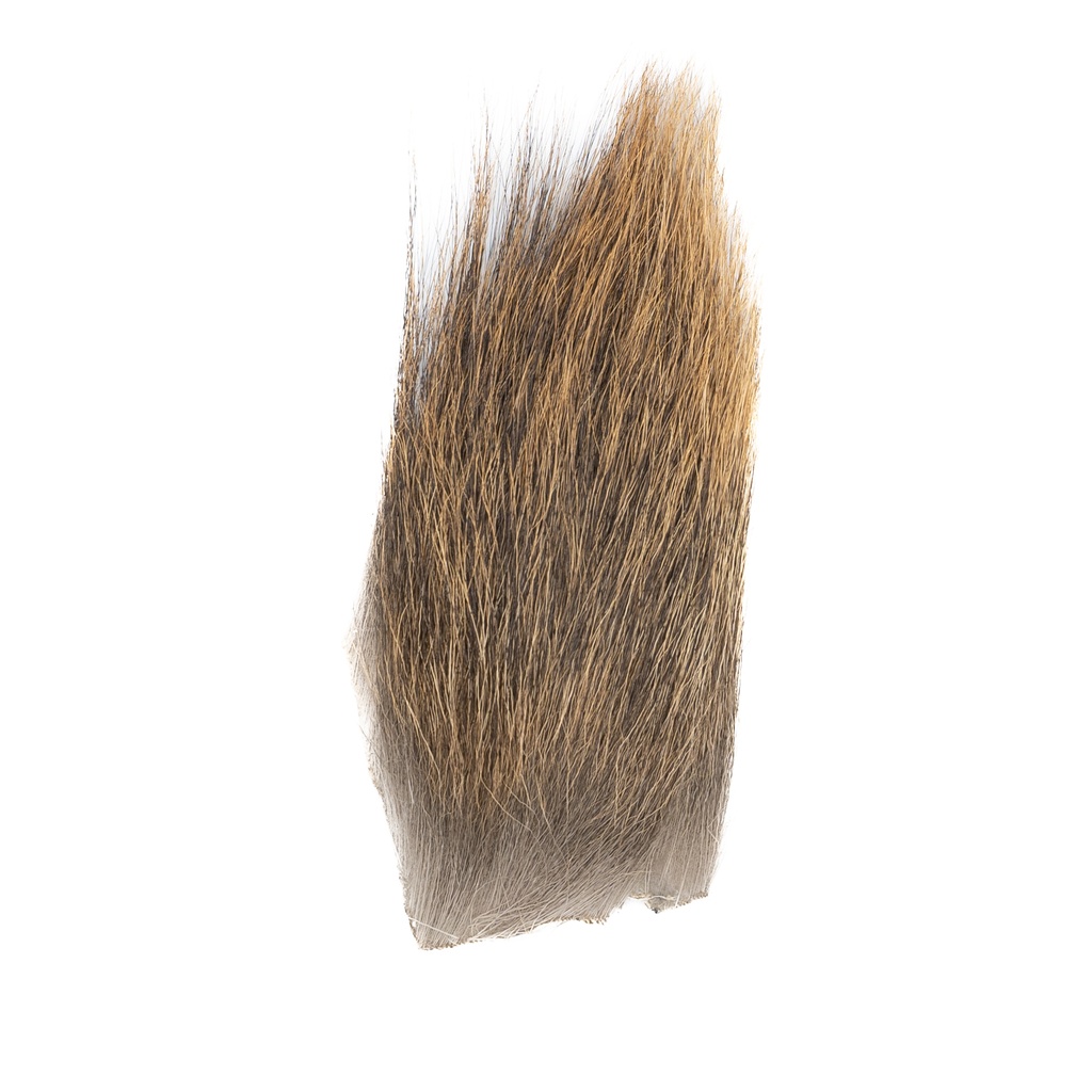 SHOR - ELK MANE