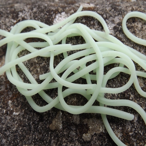 FLYBOX - SQUIRMY LEGS