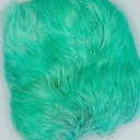 SHOR - CARIBOU BLANC