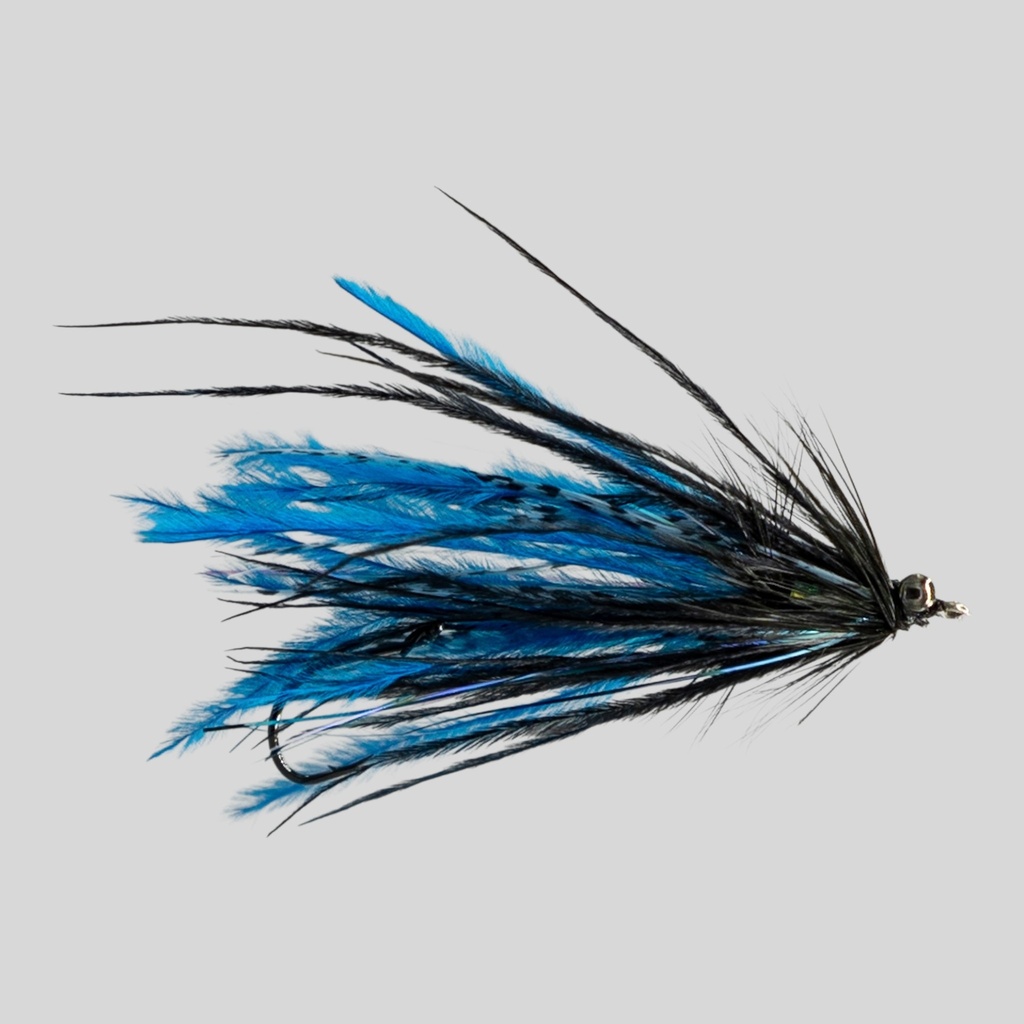 Mini Intruder - Black and Blue