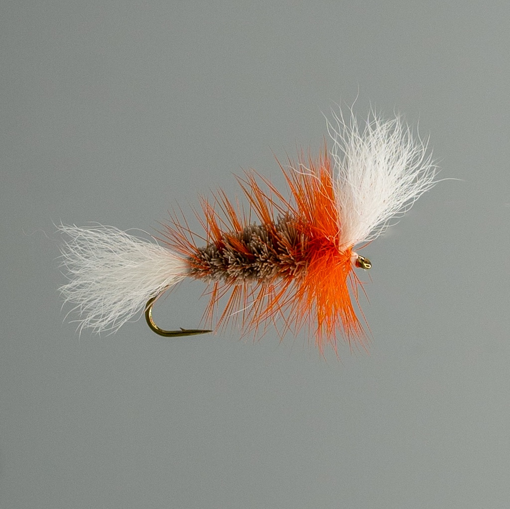 NEPTUNE FLIES - Brown Salmon Bomber Orange Hackle