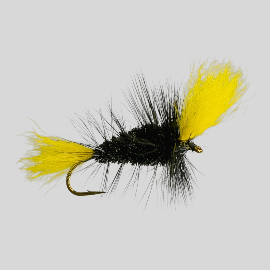 Black Bomber Yellow Wings