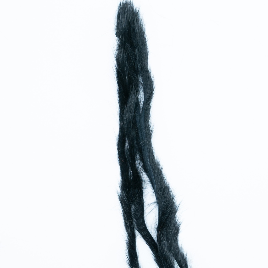 SHOR - PINE SQUIRREL ZONKER STRIP