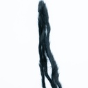 SHOR - PINE SQUIRREL ZONKER STRIP