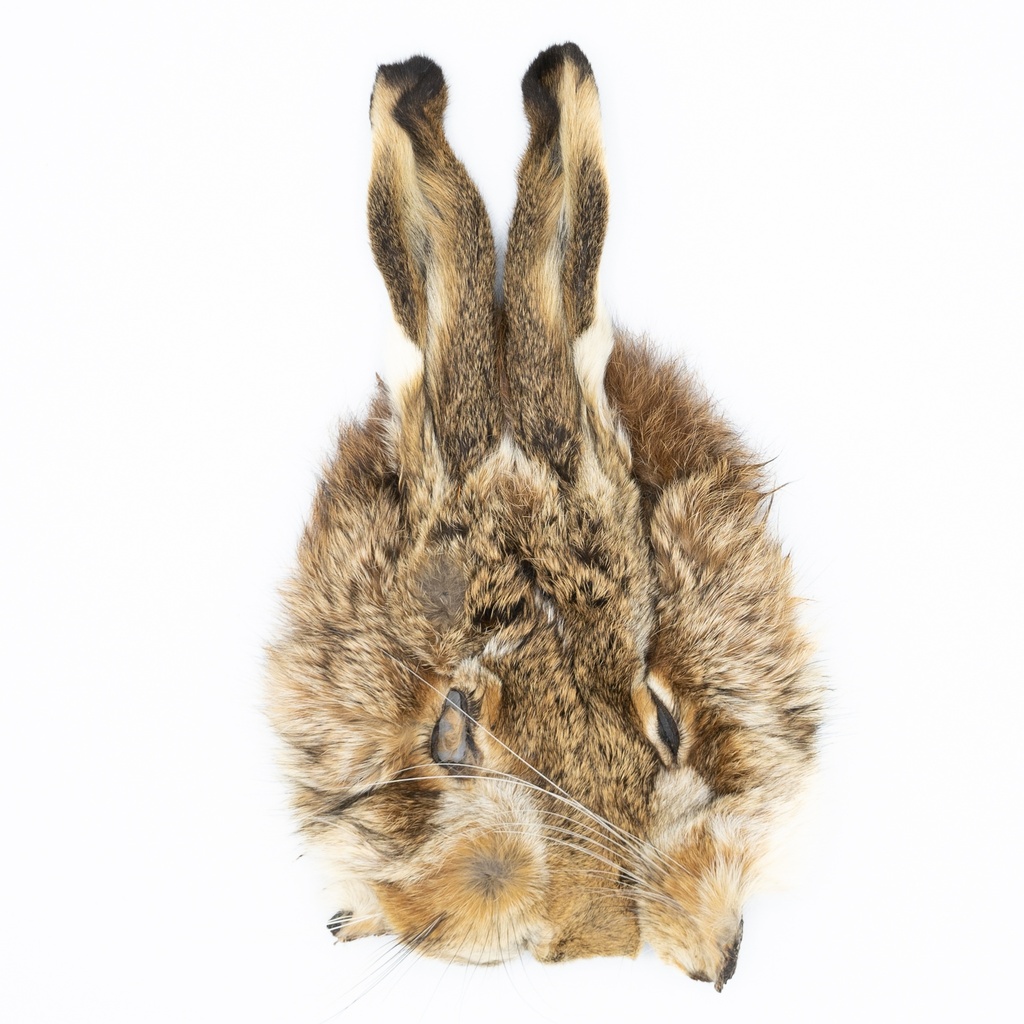 SHOR - HARE'S MASK