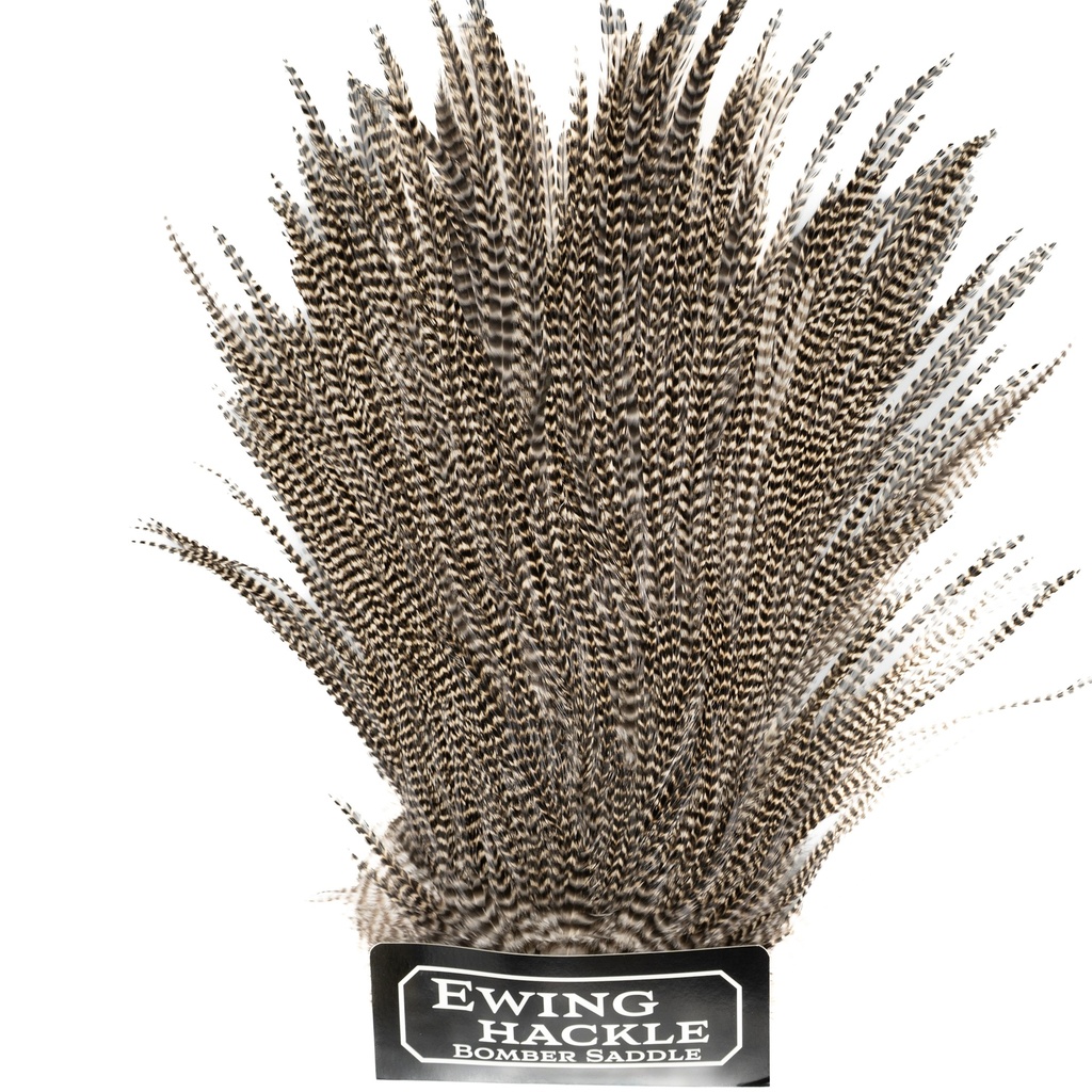 EWING - BOMBER SADDLE