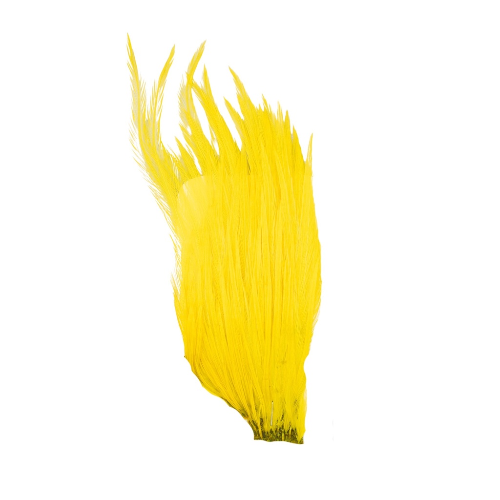 EWING - MINI PACK 10-12