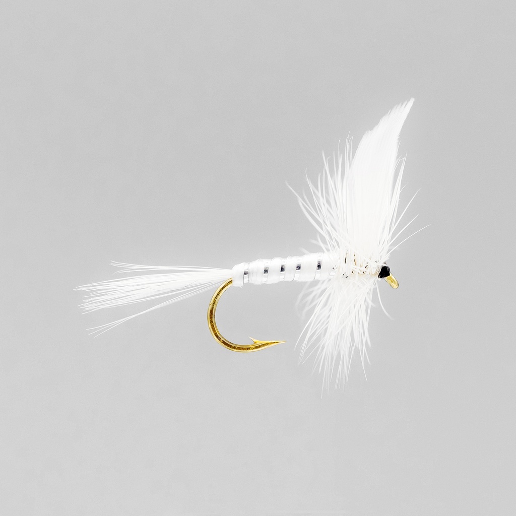 White Miller