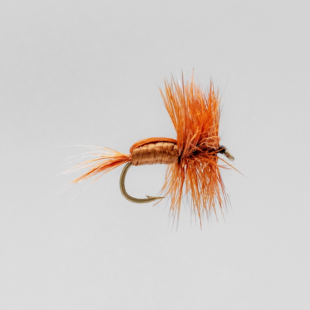 Brown Humpy