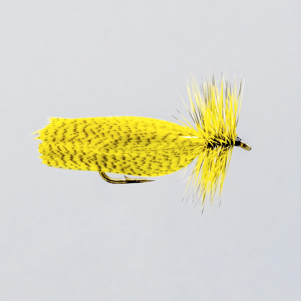 Yellow hornberg