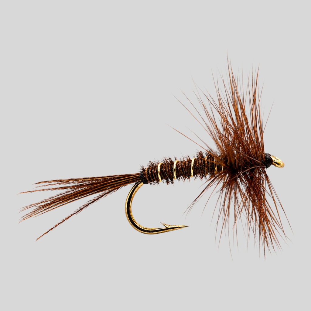 Pheasant Tail