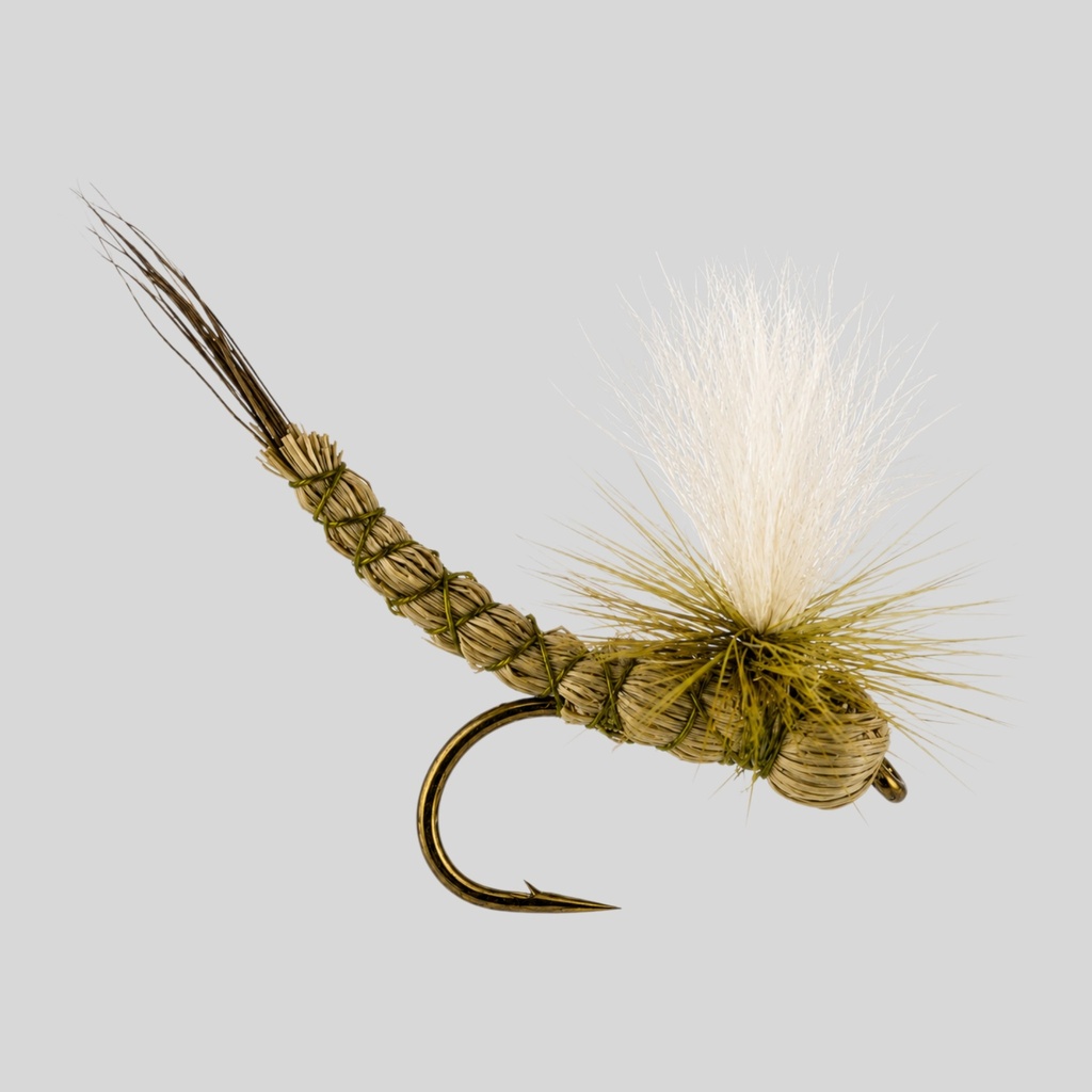 Green Drake Paradrake