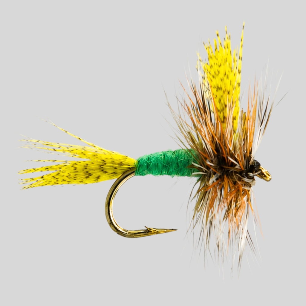 Green Drake 