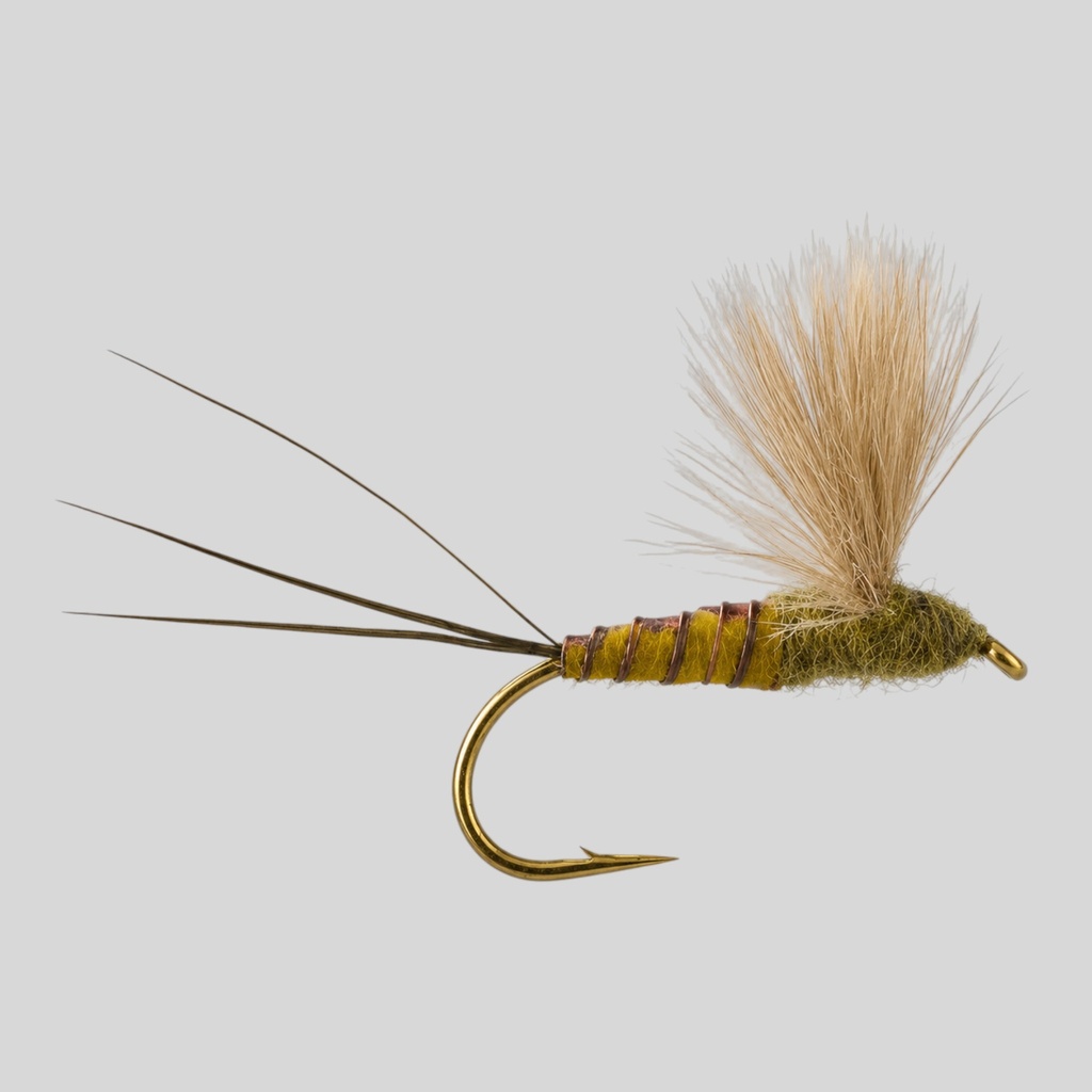 CDC Comparadun - Green Drake