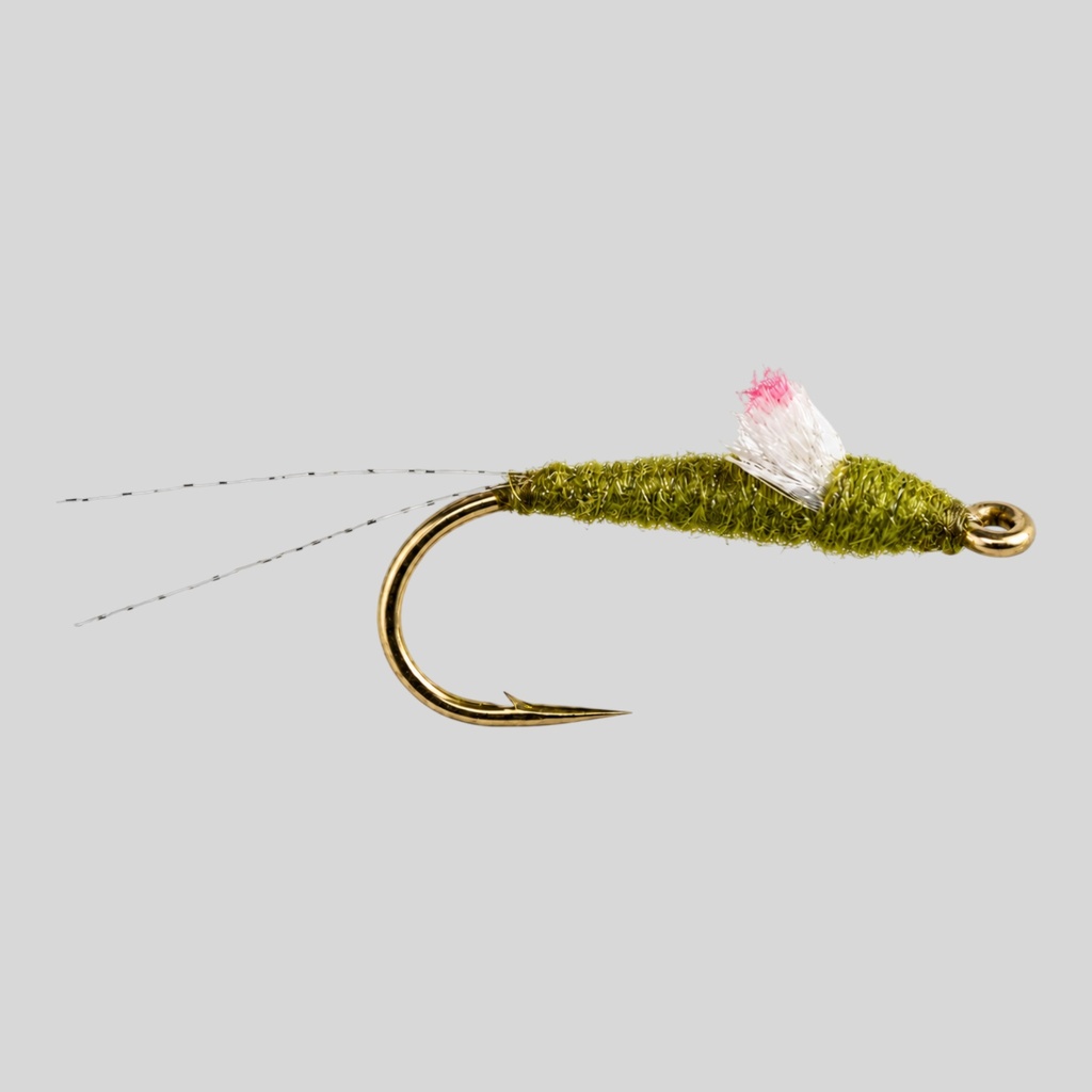 RS2 Olive sparkle wing