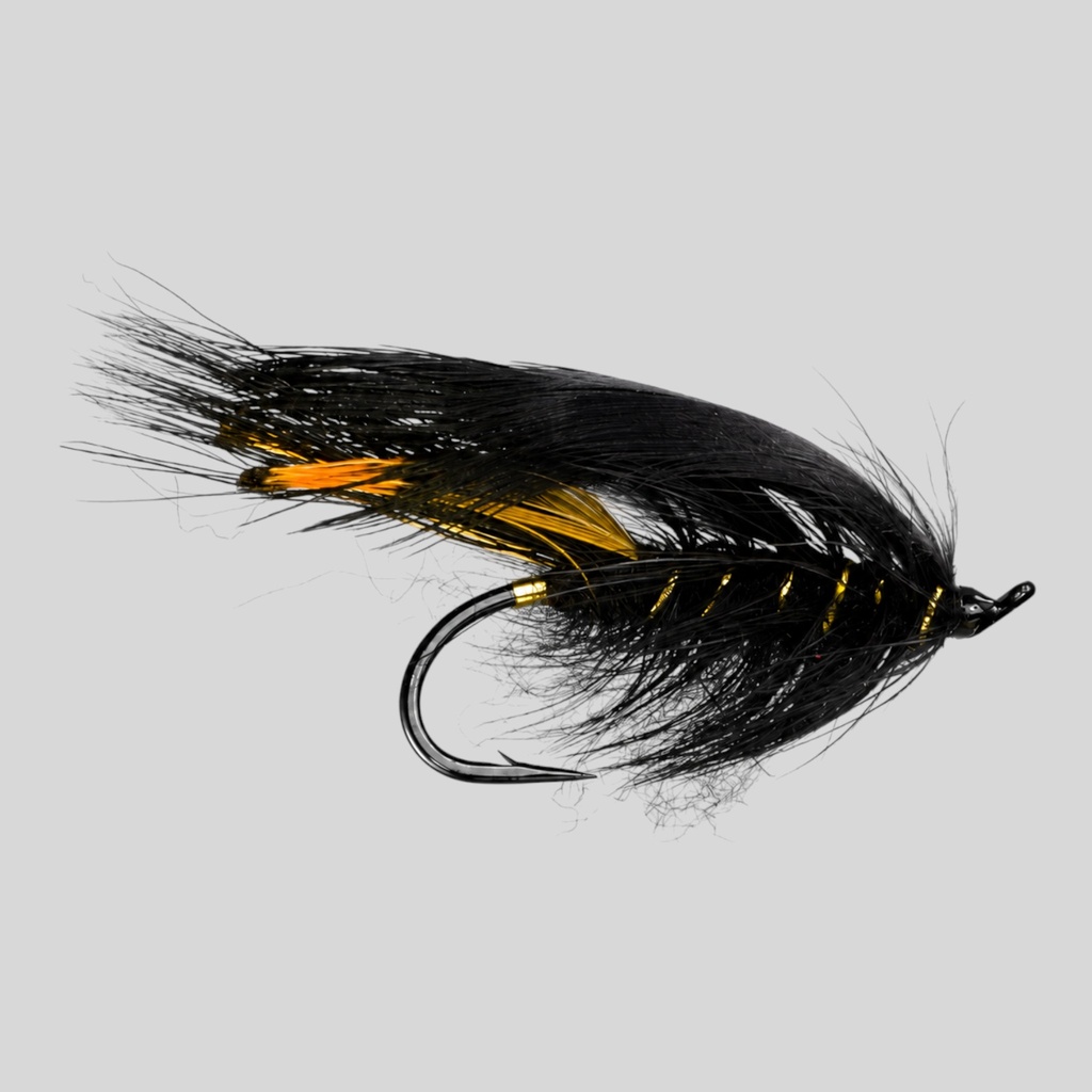 General Practitioner Black