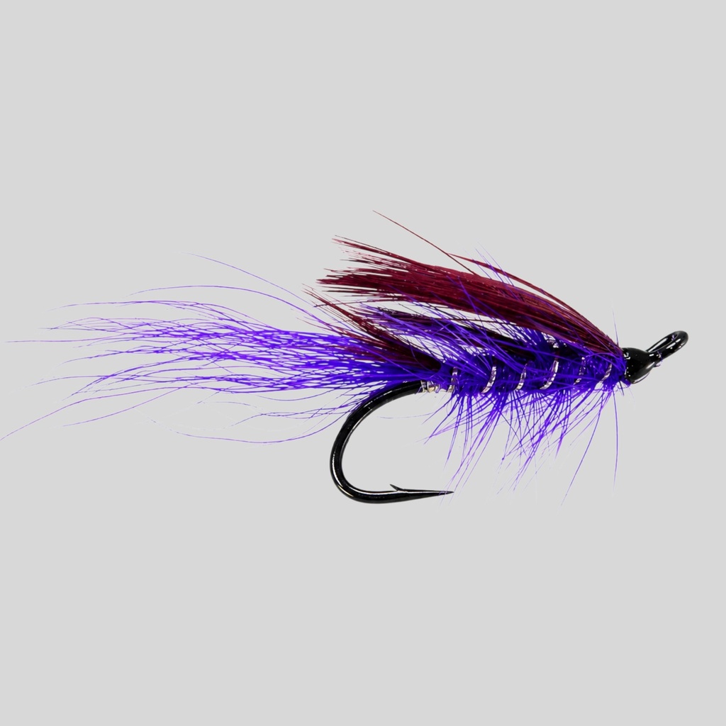 General Practitioner Purple
