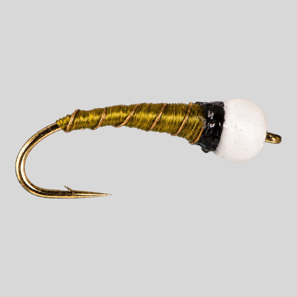 Kelly's Ice Cone Olive