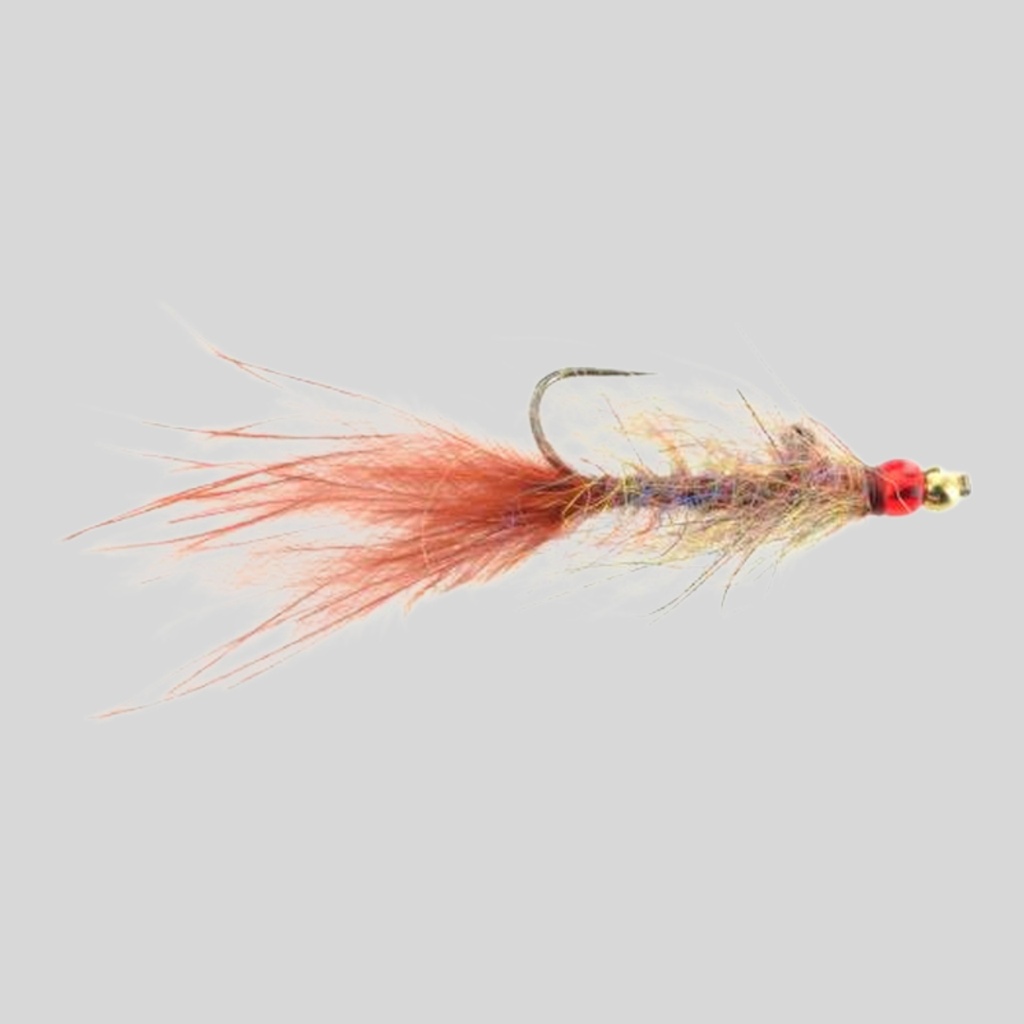 Balanced Leech - Brown