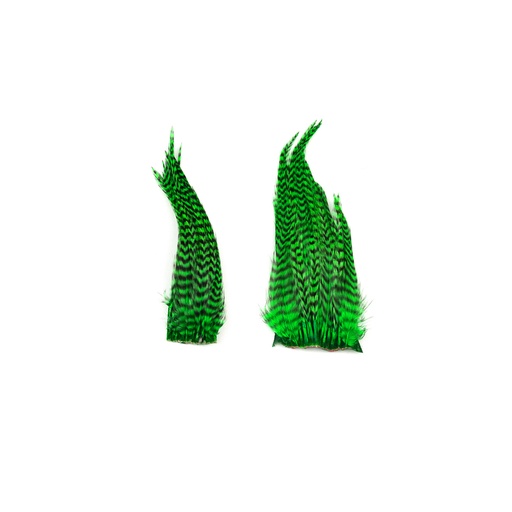 SHOR - GENETIC ROOSTER MINI-PACK