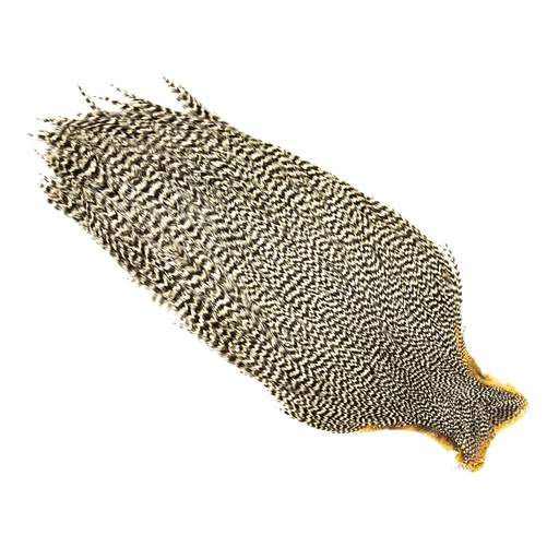 SHOR - GENETIC ROOSTER CAPE