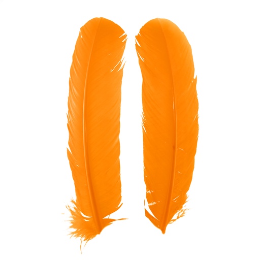 SHOR - TURKEY QUILLS