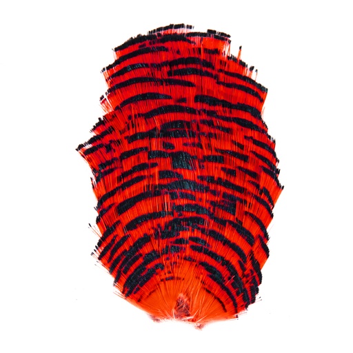 SHOR - COLLERETTE DE FAISAN DORE TEINT