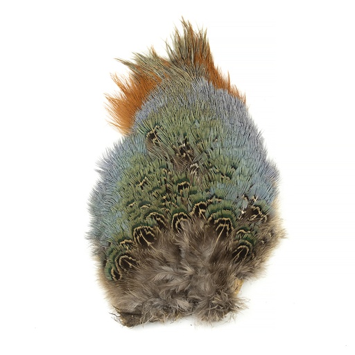 SHOR - RING-NECKED PHEASANT RUMP PATCH