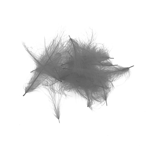 SHOR - PLUMES DE CUL DE CANARD (CDC)