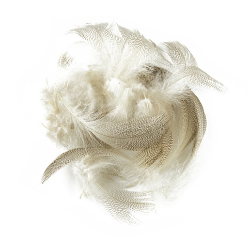 SHOR - MALLARD FLANK