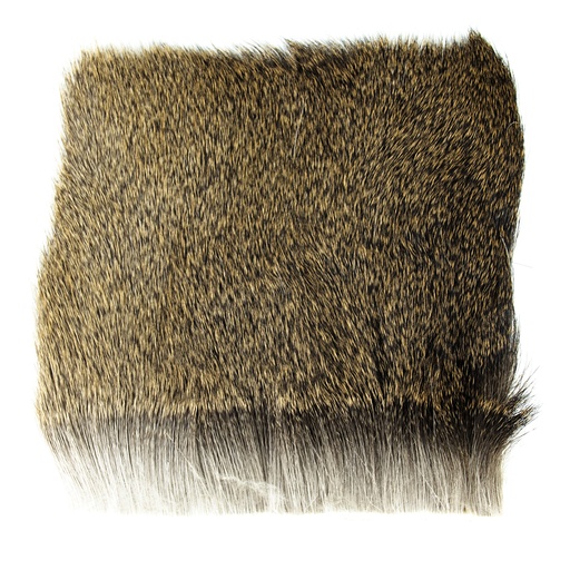 SHOR - CERF - PIÈCES