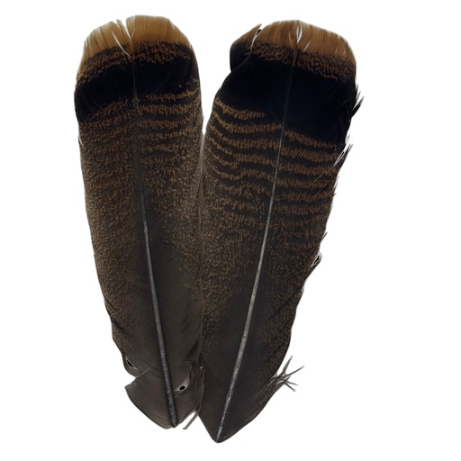 SHOR - OZARK TURKEY CINNAMON TAIL