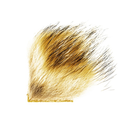 [AH503] SHOR - BADGER