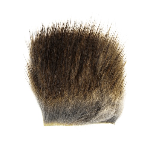 [AH501] SHOR - MUSKRAT