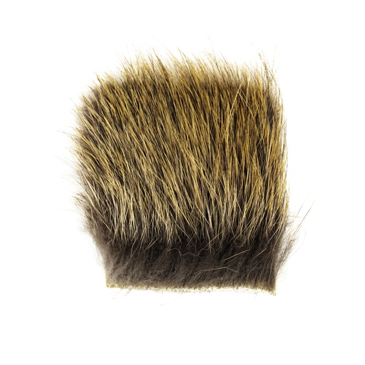 [AH704] SHOR - WOODCHUCK