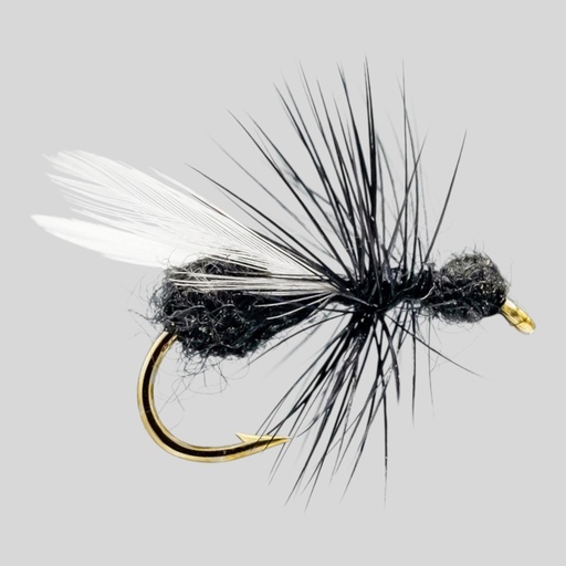Flying Ant (SÈCHE)