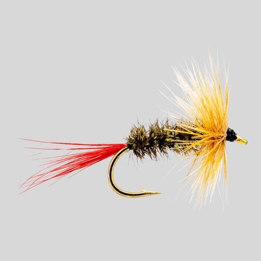 Brown Hackle (SÈCHE)