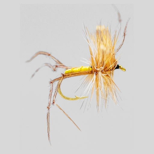 Crane Fly (SÈCHE)