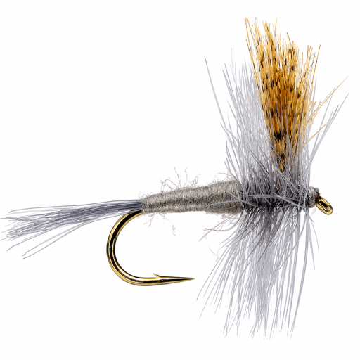 Hendrickson Dark (SÈCHE)
