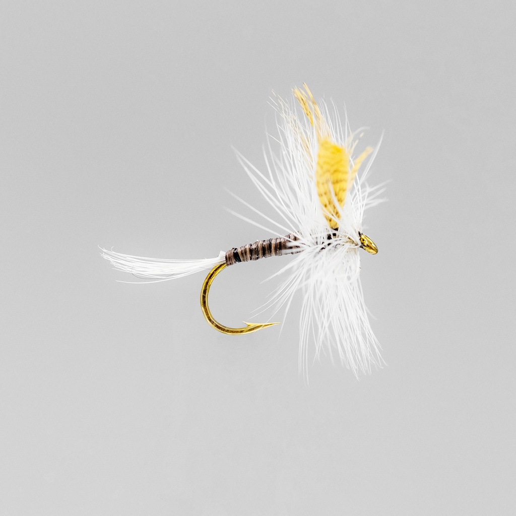 NEPTUNE FLIES - Quill Gordon (DRY)