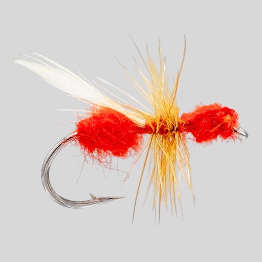 Red Flying Ant (SÈCHE)