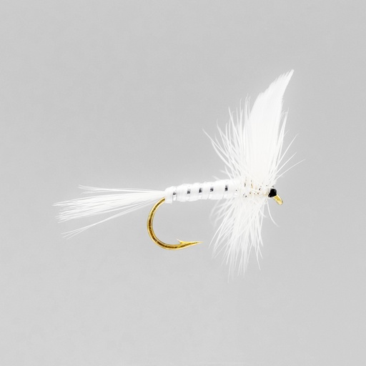 White Miller (SÈCHE)