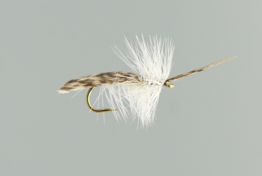 Cream Tent Caddis (SÈCHE)