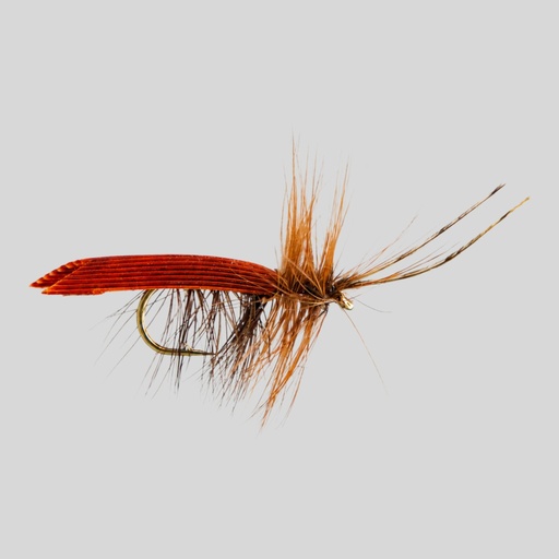 Dark Brown Tent Caddis (SÈCHE)