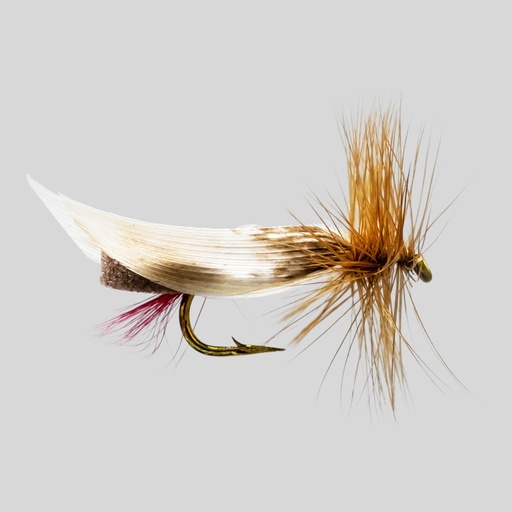 Brown Foam Body (SÈCHE)